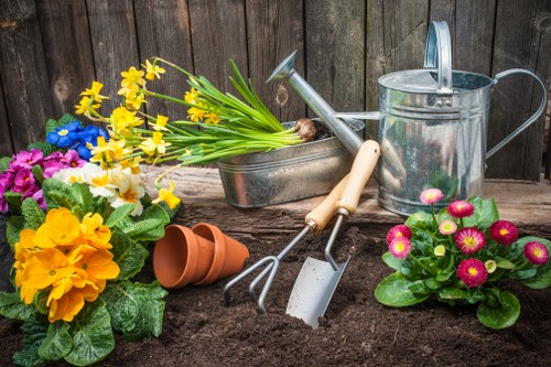 Professional stump grinding near a fence and lawn in a local Enfield property