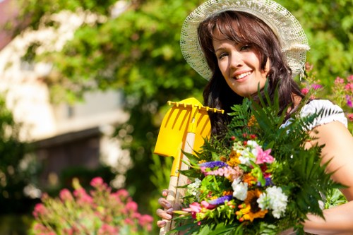 Professional tree pruning service for Enfield gardens and businesses