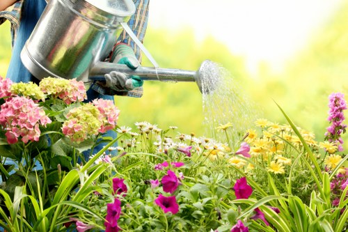 Recycling and sustainability practices for Tree Surgeons Enfield