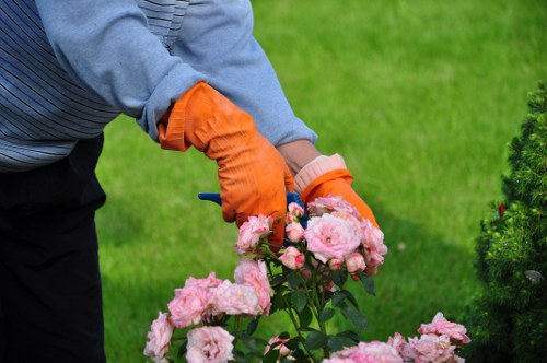 Responsible collection and disposal of green waste after tree surgery